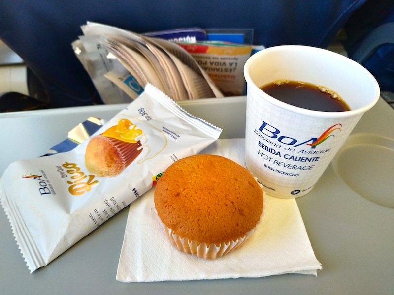 【ボリビアーナ航空機内食・搭乗記】OB303/UYU-LPB/ウユニ-ラパス