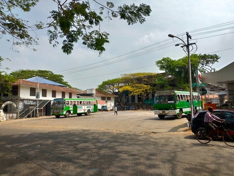 P_20190210_114426_vHDR_On_HP