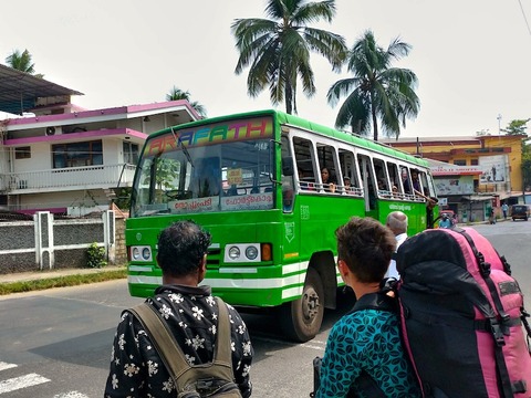 P_20190210_112348_vHDR_On_HP