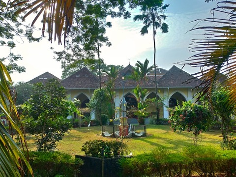 P_20190210_163609_vHDR_On_HP