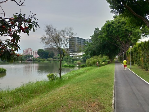 P_20180902_141533_vHDR_Auto_HP