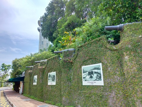 P_20180901_142414_vHDR_Auto_HP_1