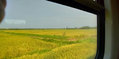 P_20180824_094303_vHDR_On_HP