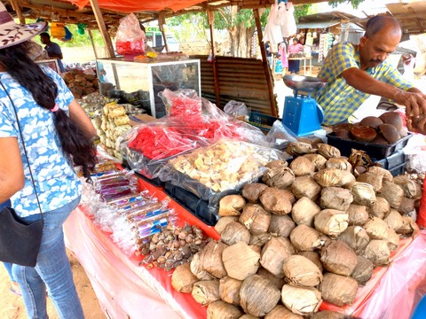 P_20180825_132826_vHDR_On_HP_1