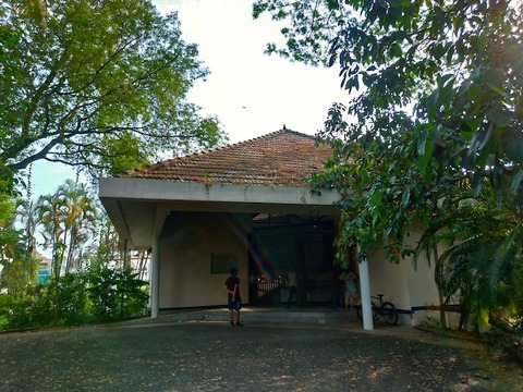 P_20190210_161637_vHDR_On_HP