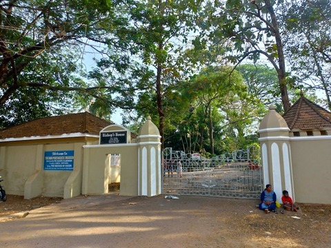 P_20190210_161030_vHDR_On_HP