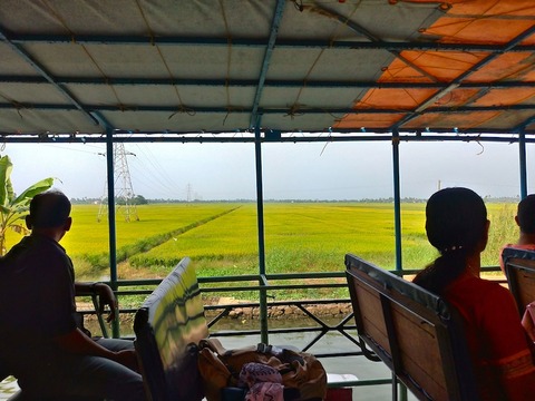 P_20190209_143954_vHDR_On_HP