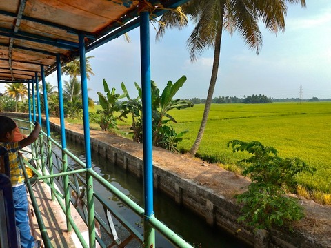 P_20190209_143810_vHDR_On_HP