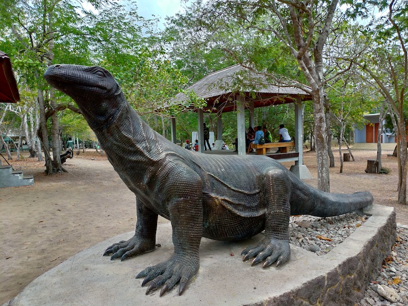 【コモド島】世界遺産コモド国立公園一日現地ツアーに参加してみた②